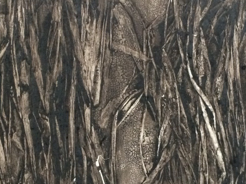 Raffia and carborundum plate. Closeup of image printed in Burnt Umber.