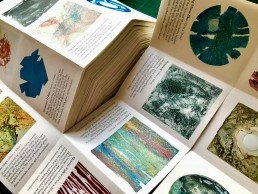Info booklets for Printfest 2018